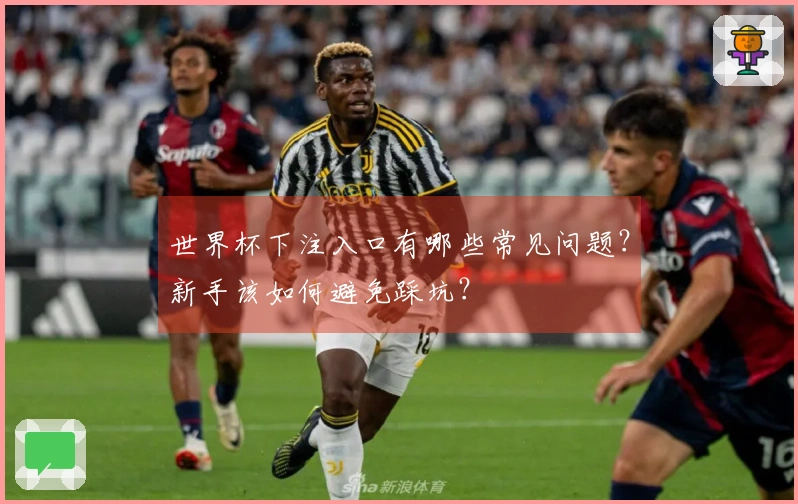 世界杯下注入口有哪些常见问题？新手该如何避免踩坑？