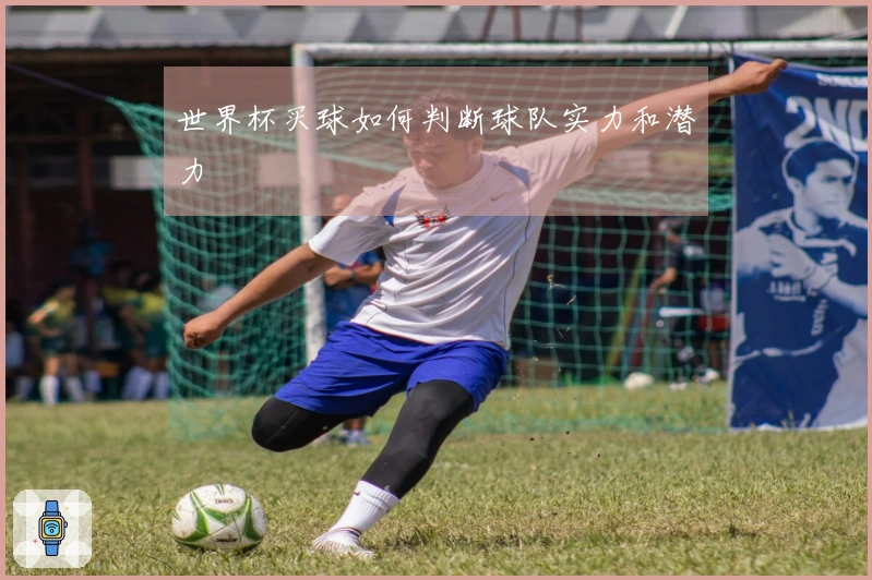 世界杯买球如何判断球队实力和潜力