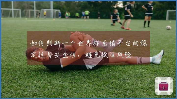 如何判断一个世界杯竞猜平台的稳定性与安全性，避免投注风险