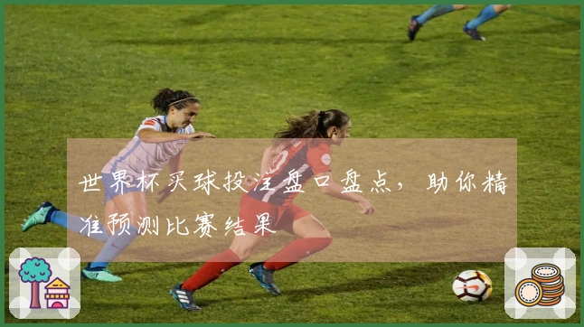 世界杯买球投注盘口盘点，助你精准预测比赛结果