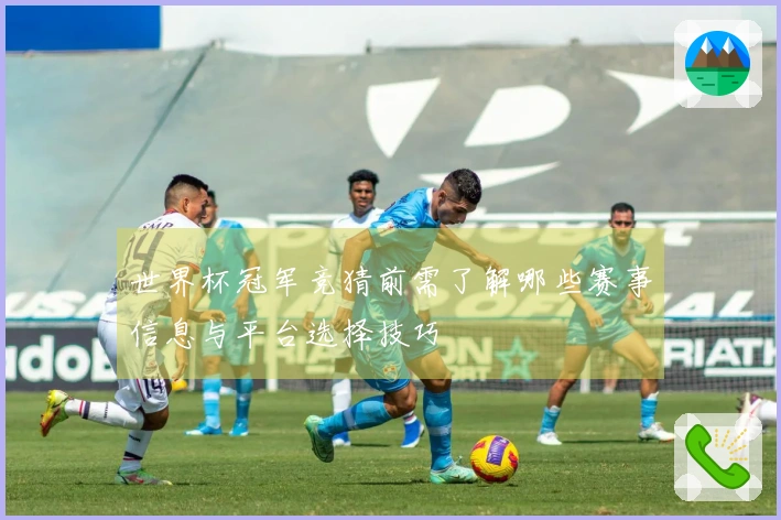 世界杯冠军竞猜前需了解哪些赛事信息与平台选择技巧