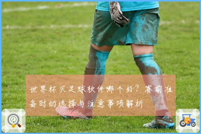 世界杯买足球软件哪个好？赛前准备时的选择与注意事项解析
