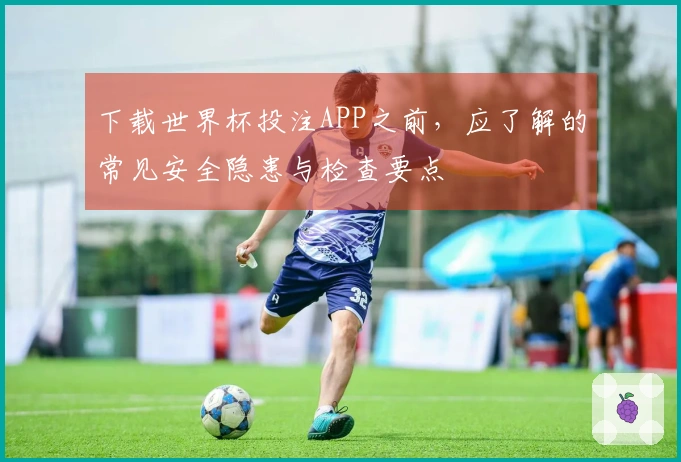 下载世界杯投注APP之前，应了解的常见安全隐患与检查要点