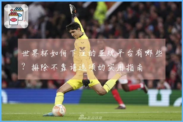 世界杯如何下注的正规平台有哪些？排除不靠谱选项的实用指南