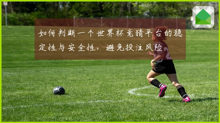 如何判断一个世界杯竞猜平台的稳定性与安全性，避免投注风险