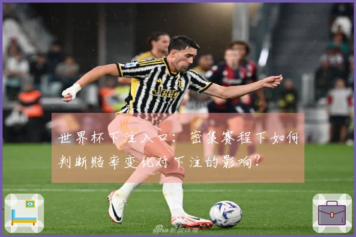 世界杯下注入口：密集赛程下如何判断赔率变化对下注的影响？