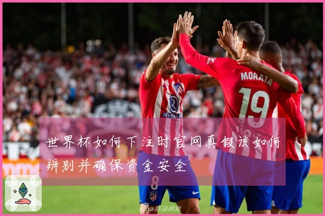 世界杯如何下注时官网真假该如何辨别并确保资金安全