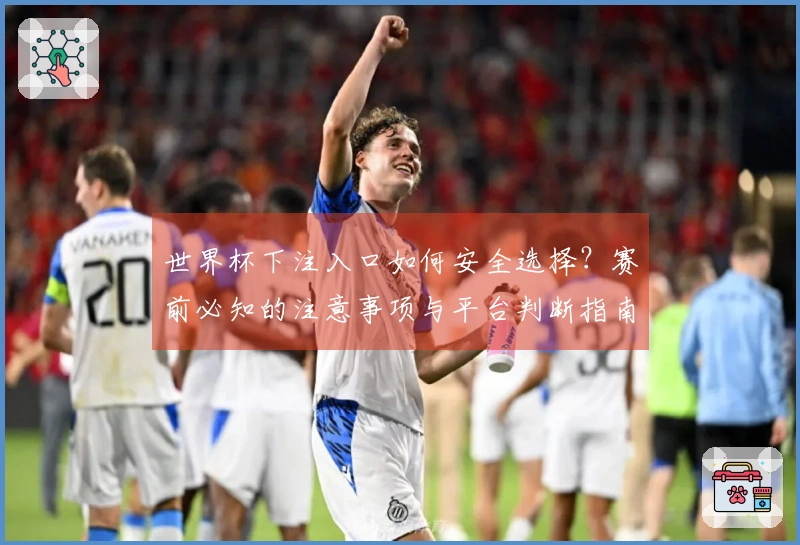 世界杯下注入口如何安全选择？赛前必知的注意事项与平台判断指南