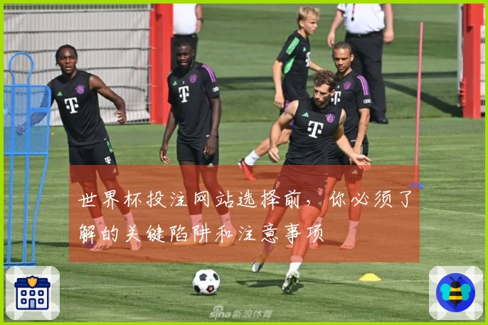 世界杯投注网站选择前，你必须了解的关键陷阱和注意事项