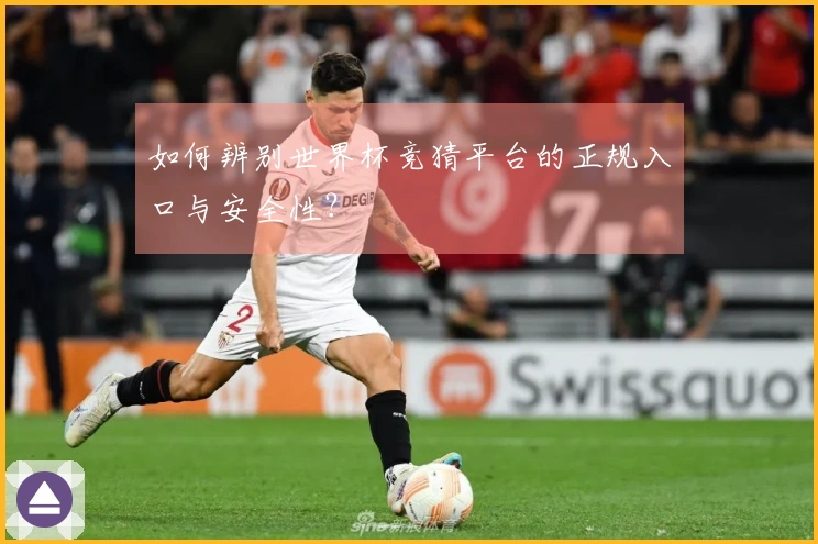 如何辨别世界杯竞猜平台的正规入口与安全性？