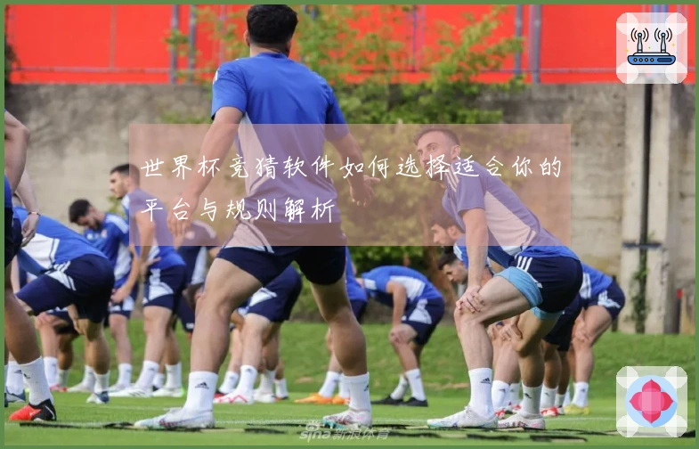 世界杯竞猜软件如何选择适合你的平台与规则解析