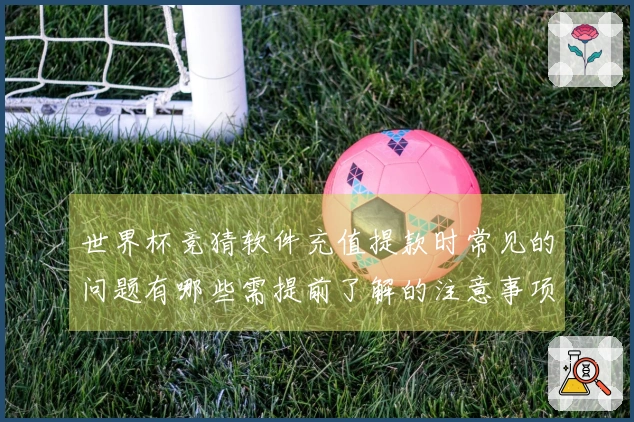 世界杯竞猜软件充值提款时常见的问题有哪些需提前了解的注意事项