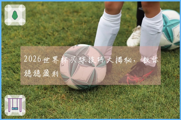 2026世界杯买球技巧大揭秘，教你稳稳盈利