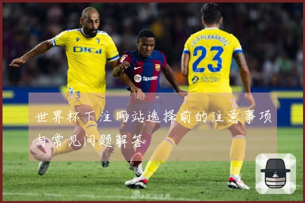 世界杯下注网站选择前的注意事项与常见问题解答