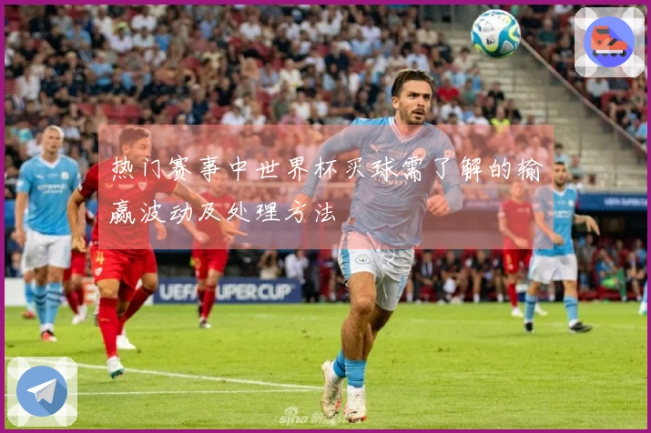 热门赛事中世界杯买球需了解的输赢波动及处理方法