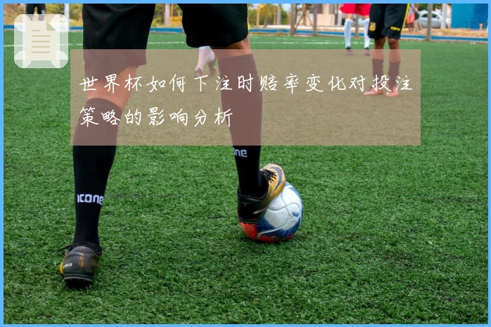 世界杯如何下注时赔率变化对投注策略的影响分析