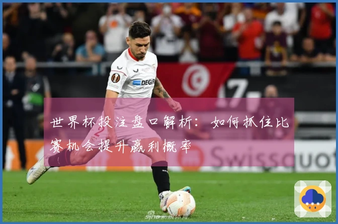 世界杯投注盘口解析：如何抓住比赛机会提升赢利概率