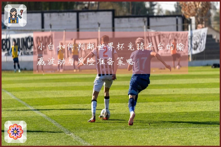 小白如何判断世界杯竞猜平台的输赢波动与风险准备策略