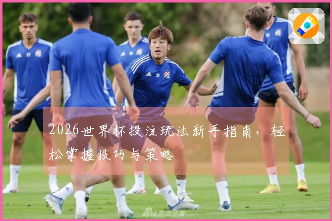 2026世界杯投注玩法新手指南，轻松掌握技巧与策略