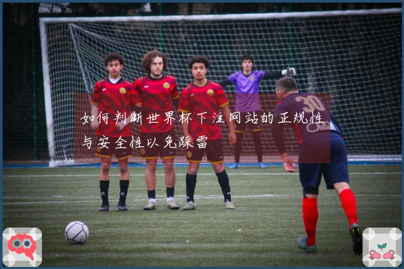 如何判断世界杯下注网站的正规性与安全性以免踩雷