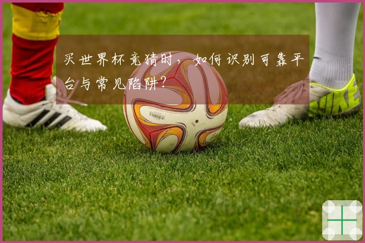 买世界杯竞猜时，如何识别可靠平台与常见陷阱？