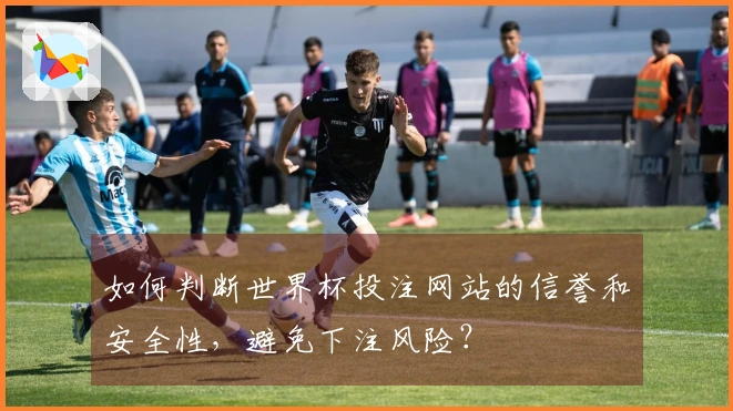 如何判断世界杯投注网站的信誉和安全性，避免下注风险？