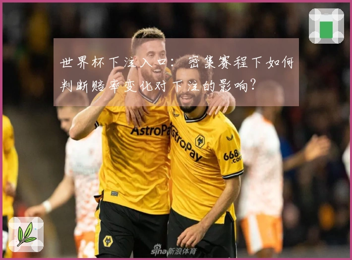 世界杯下注入口:密集赛程下如何判断赔率变化对下注的影响?