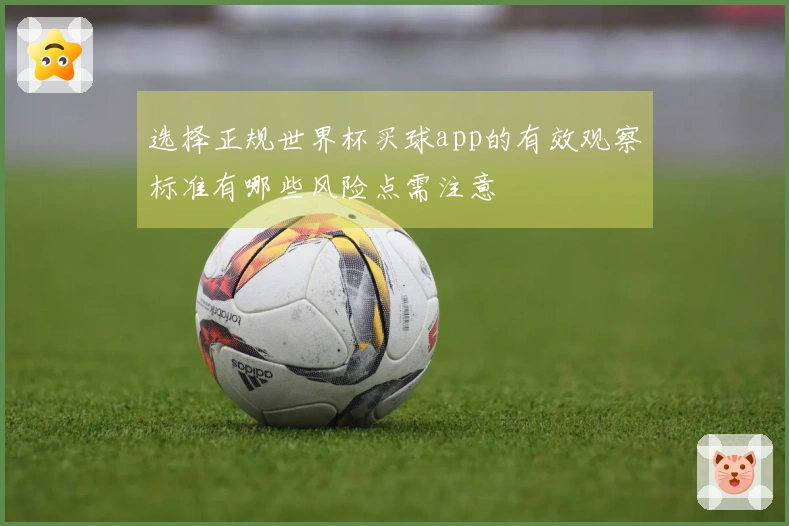 选择正规世界杯买球app的有效观察标准有哪些风险点需注意
