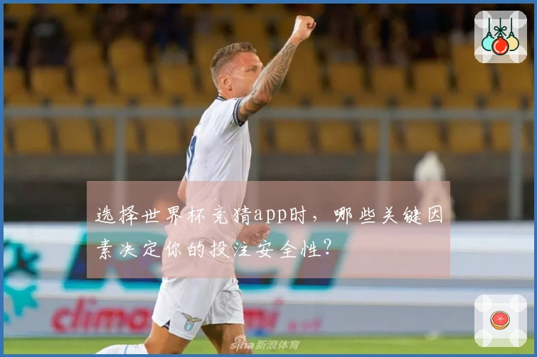 选择世界杯竞猜app时，哪些关键因素决定你的投注安全性？