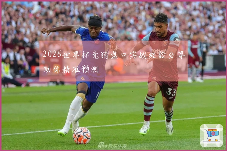 2026世界杯竞猜盘口实战经验分享助你精准预测