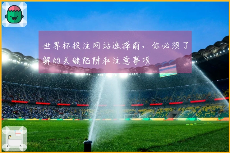 世界杯投注网站选择前，你必须了解的关键陷阱和注意事项