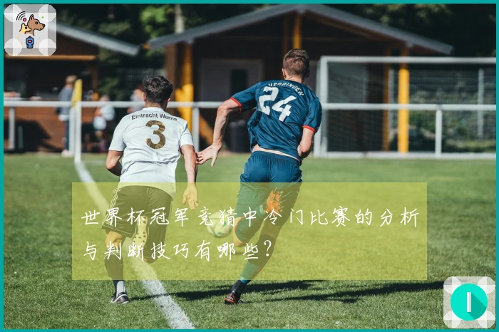 世界杯冠军竞猜中冷门比赛的分析与判断技巧有哪些？