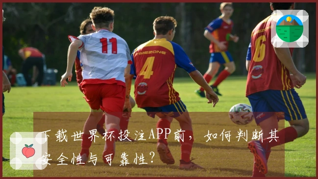 下载世界杯投注APP前，如何判断其安全性与可靠性？