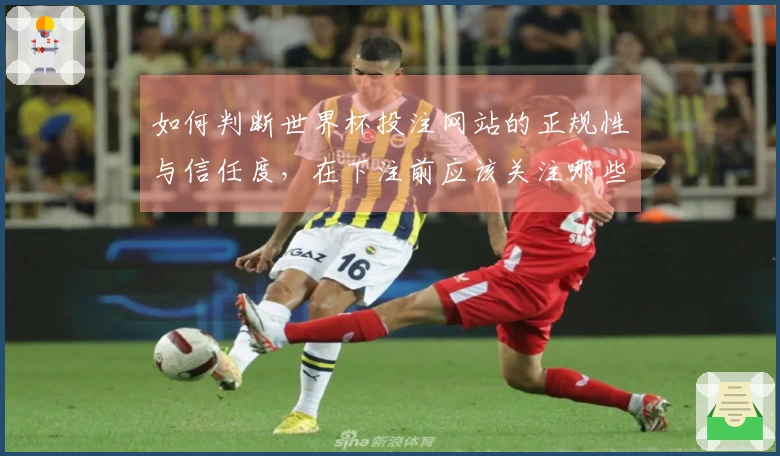 如何判断世界杯投注网站的正规性与信任度,在下注前应该关注哪些细节?