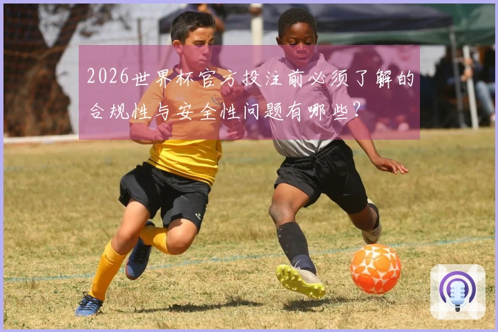 2026世界杯官方投注前必须了解的合规性与安全性问题有哪些?