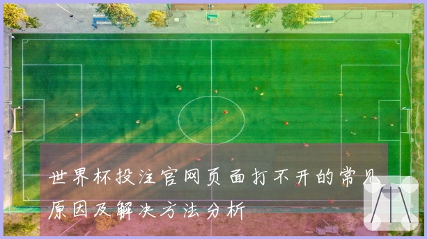 世界杯投注官网页面打不开的常见原因及解决方法分析
