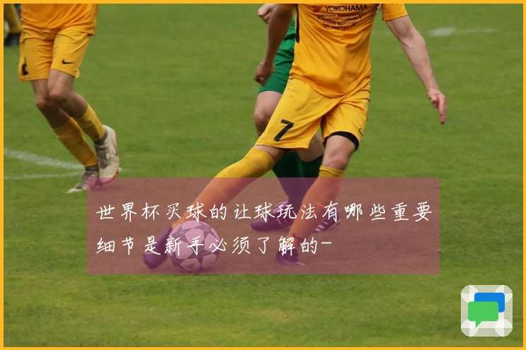 世界杯买球的让球玩法有哪些重要细节是新手必须了解的-