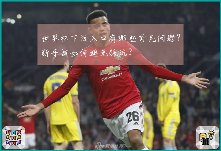 世界杯下注入口有哪些常见问题?新手该如何避免踩坑?