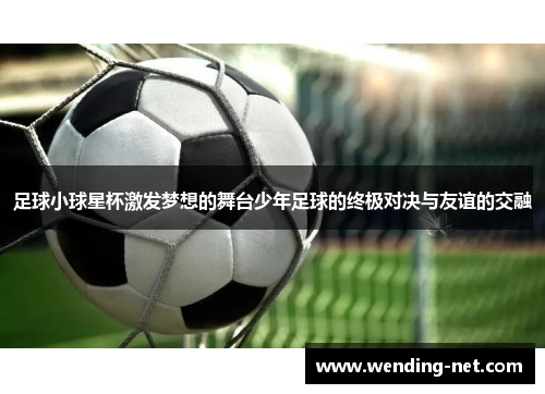 足球小球星杯激发梦想的舞台少年足球的终极对决与友谊的交融