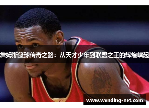 詹姆斯篮球传奇之路：从天才少年到联盟之王的辉煌崛起